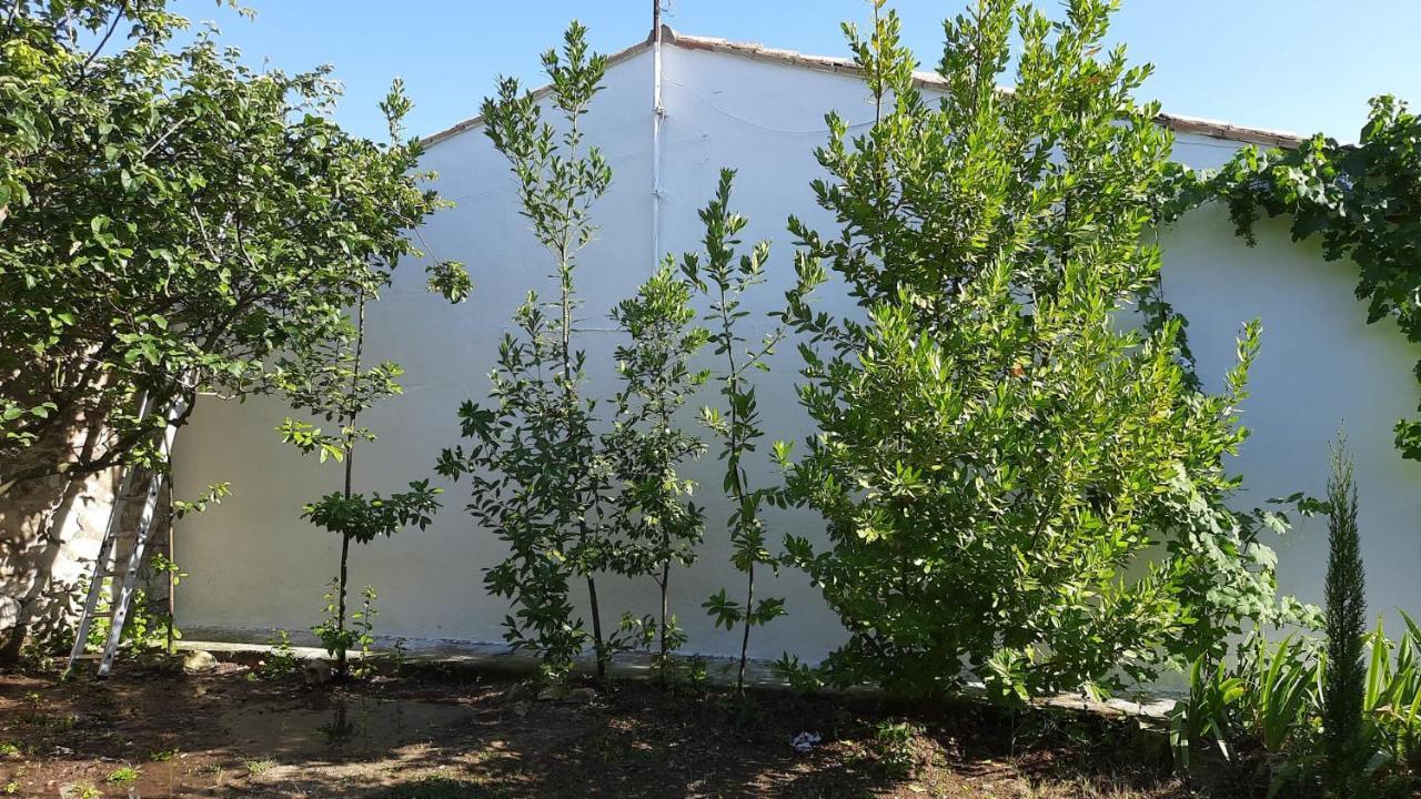 Casa Junto Al Parque Natural De Bardenas Sadaba